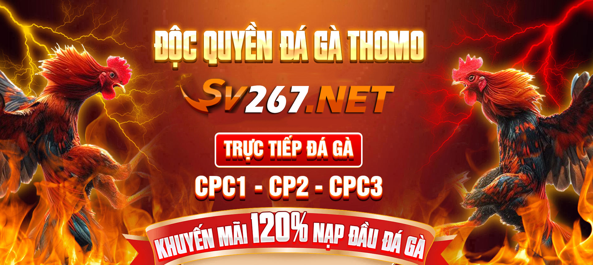 banner-sv267.net